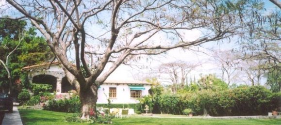 4 Schlafzimmer Haus in Morelos, Mexico, Nr. 190196 2