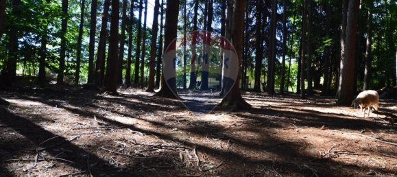 Вилла с 8 комнатами в Кантелло, Италия № 170791 26