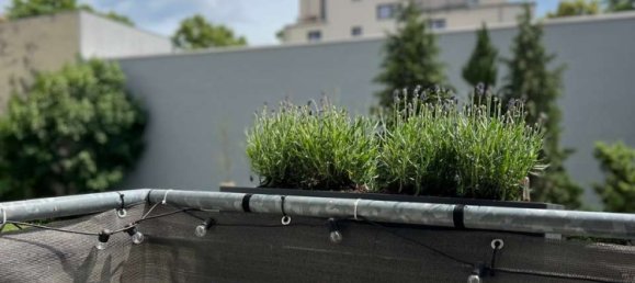 Apartamento de 1 dormitorio en Adlershof, Germany No. 244106 15