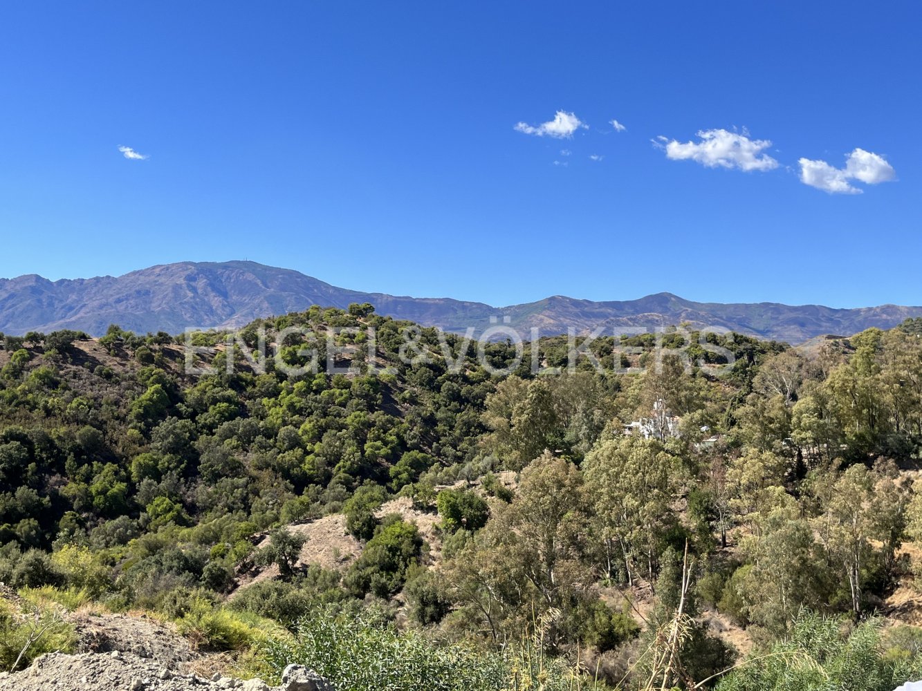  Land in Estepona, Spain No. 28343
