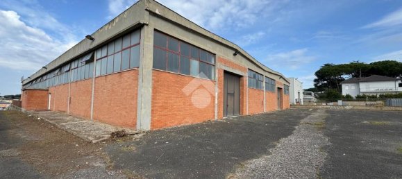 1 room Warehouse in Ariccia, Italy No. 62405 6