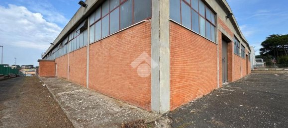 1 room Warehouse in Ariccia, Italy No. 62405 4