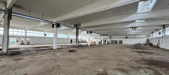 1 room Warehouse in Ariccia, Italy No. 62405 11