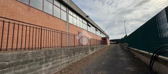 1 room Warehouse in Ariccia, Italy No. 62405 8