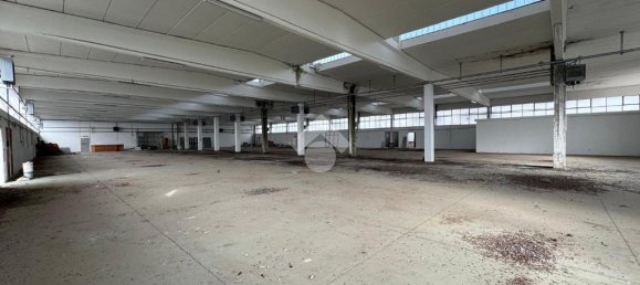 1 room Warehouse in Ariccia, Italy No. 62405 10