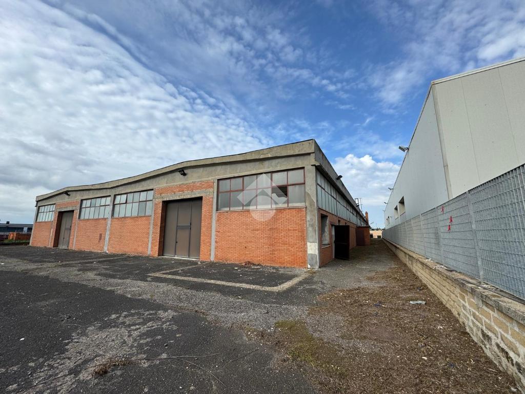 1 room Warehouse in Ariccia, Italy No. 62405