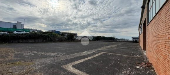 1 room Warehouse in Ariccia, Italy No. 62405 7