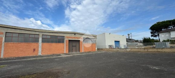 1 room Warehouse in Ariccia, Italy No. 62405 3