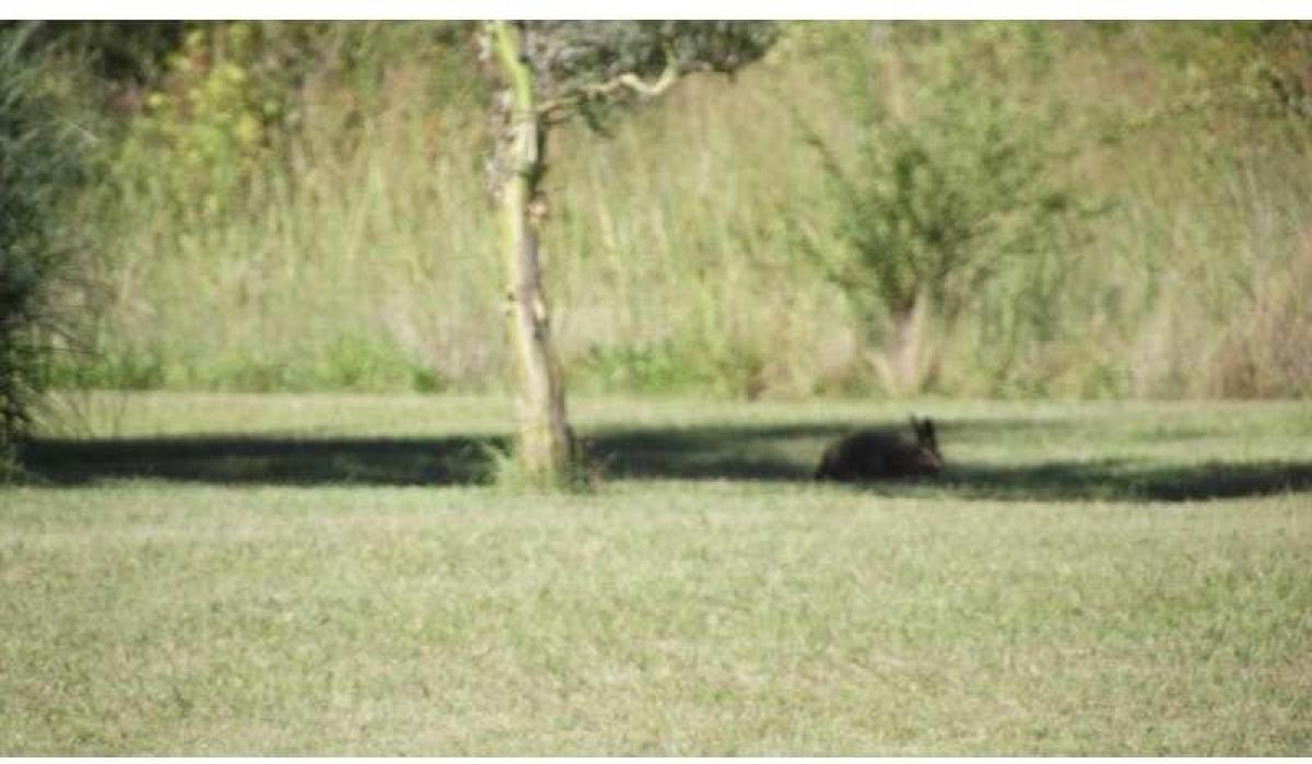  Land in Cordoba, Argentina No. 48014