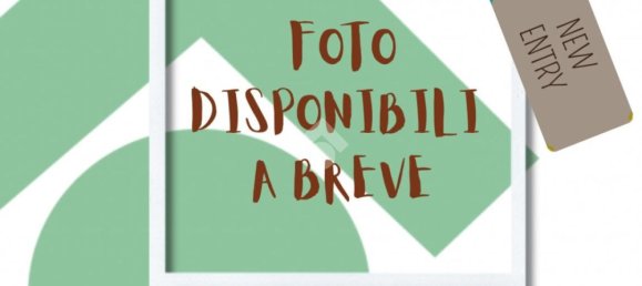 Studio in Rome, Italy, Nr. 222744 3