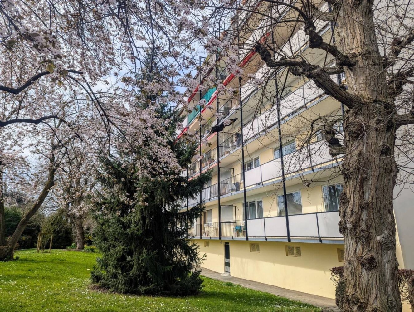 3 rooms Apartment in Saint-Louis, France No. 40522