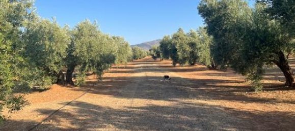 46000m² Land in Andalusia, Spain No. 135845 2
