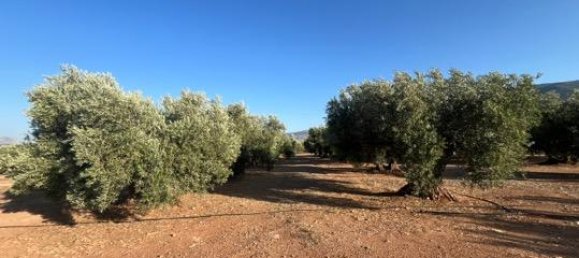 46000m² Land in Andalusia, Spain No. 135845 3