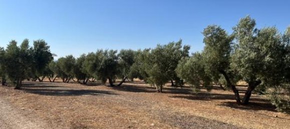 46000m² Land in Andalusia, Spain No. 135845 5