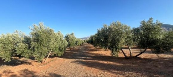 46000m² Land in Andalusia, Spain No. 135845 4