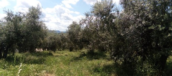 Terreno en Moscufo, Italy 7000 m² No. 93963 4