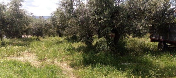 Terreno en Moscufo, Italy 7000 m² No. 93963 2