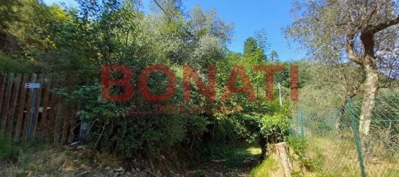 3163m² Land in Vezzano Ligure, Italy No. 298829 3
