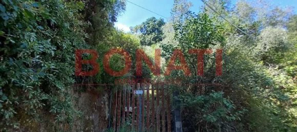 3163m² Land in Vezzano Ligure, Italy No. 298829 2