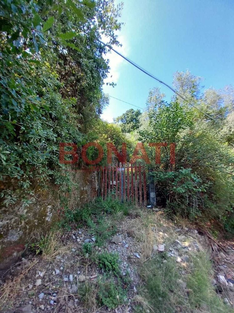 3163m² Land in Vezzano Ligure, Italy No. 298829