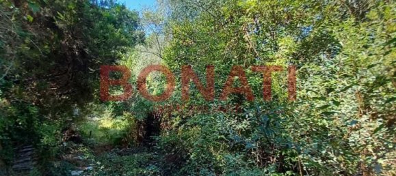 3163m² Land in Vezzano Ligure, Italy No. 298829 4