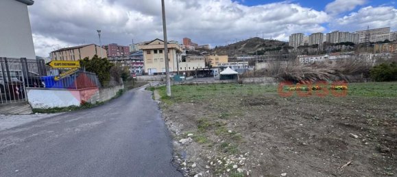 Gewerbliche Immobilie in Potenza, Italy 125m², Nr. 41575 5