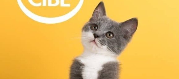 1 bedroom Apartment in Rimini, Italy No. 93490 5