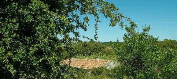 2 Schlafzimmer Haus in Odemira, Portugal, Nr. 49699 10