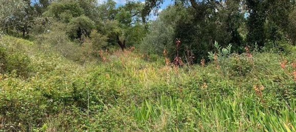 2 Schlafzimmer Haus in Odemira, Portugal, Nr. 49699 6