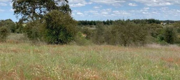 2 Schlafzimmer Haus in Odemira, Portugal, Nr. 49699 7