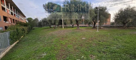 2غرفة شقة في Rome, Italy رقم 125442 25