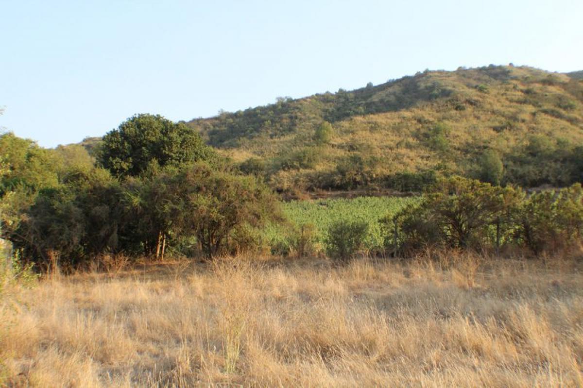 Terreno en Valparaíso, Chile No. 1362