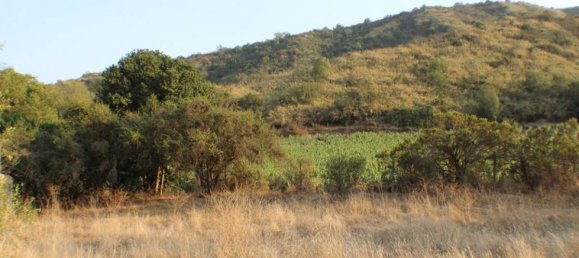 Terreno en Valparaíso, Chile No. 1362 2