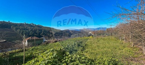 3 bedrooms House in Vila Real, Portugal No. 169735 18