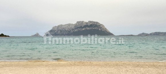 Villa de 3 dormitorios en Olbia, Italy No. 49985 34