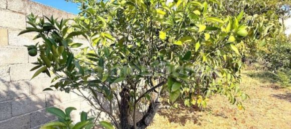 5 غرف نوم منزل في Perfugas, Italy رقم 275456 41