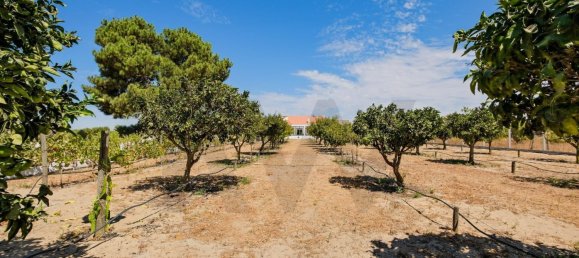 Terreno T4 em Montijo, Portugal N.º 287944 35