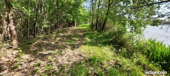 4 chambres Terrain à La Ferté-Saint-Cyr, France No. 90258 5
