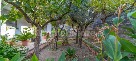 3 bedrooms Villa in Oschiri, Italy No. 123567 23