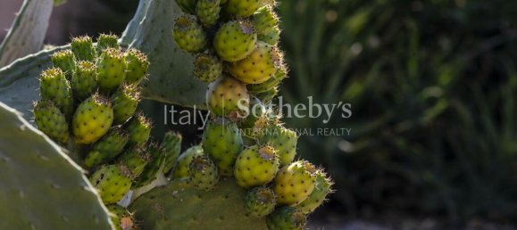 4 bedrooms Villa in Noto, Italy No. 57787 3