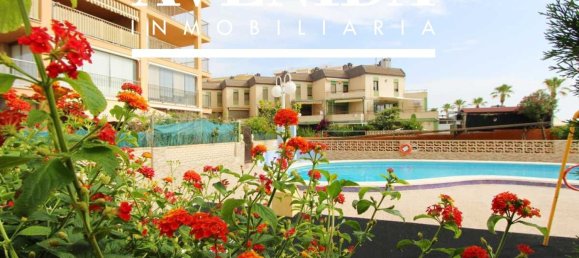 2 chambres Appartement à Castellon, Spain No. 165392 40