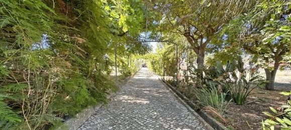 4 bedrooms Land in Setubal, Portugal No. 105962 29