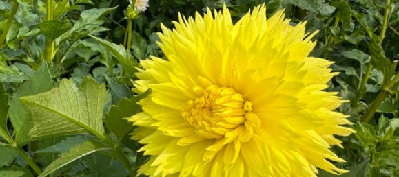 Квартира с 4 комнатами в Швебиш Халль, Германия № 302300 8