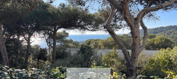 2 rooms Apartment in Livorno, Italy No. 189062 50