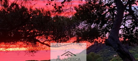 2 rooms Apartment in Livorno, Italy No. 189062 112