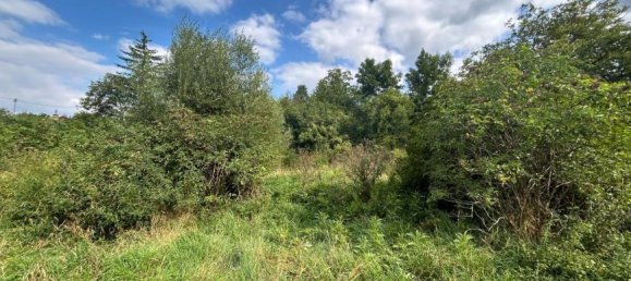 Земельный участок в Нидерлайс, Австрия № 229521 7