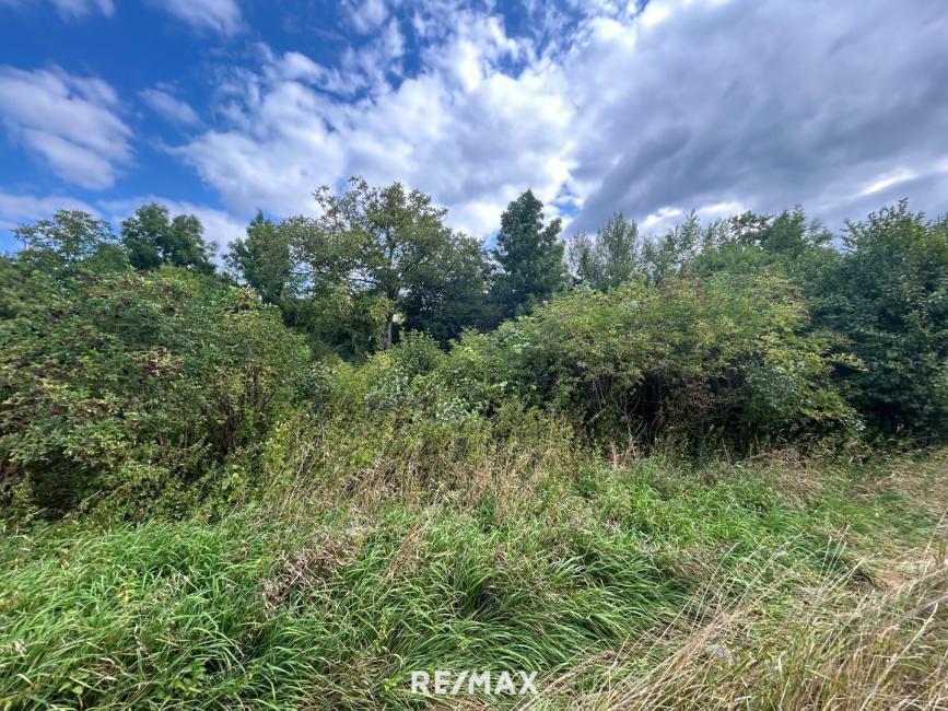 Земельный участок в Нидерлайс, Австрия № 229521