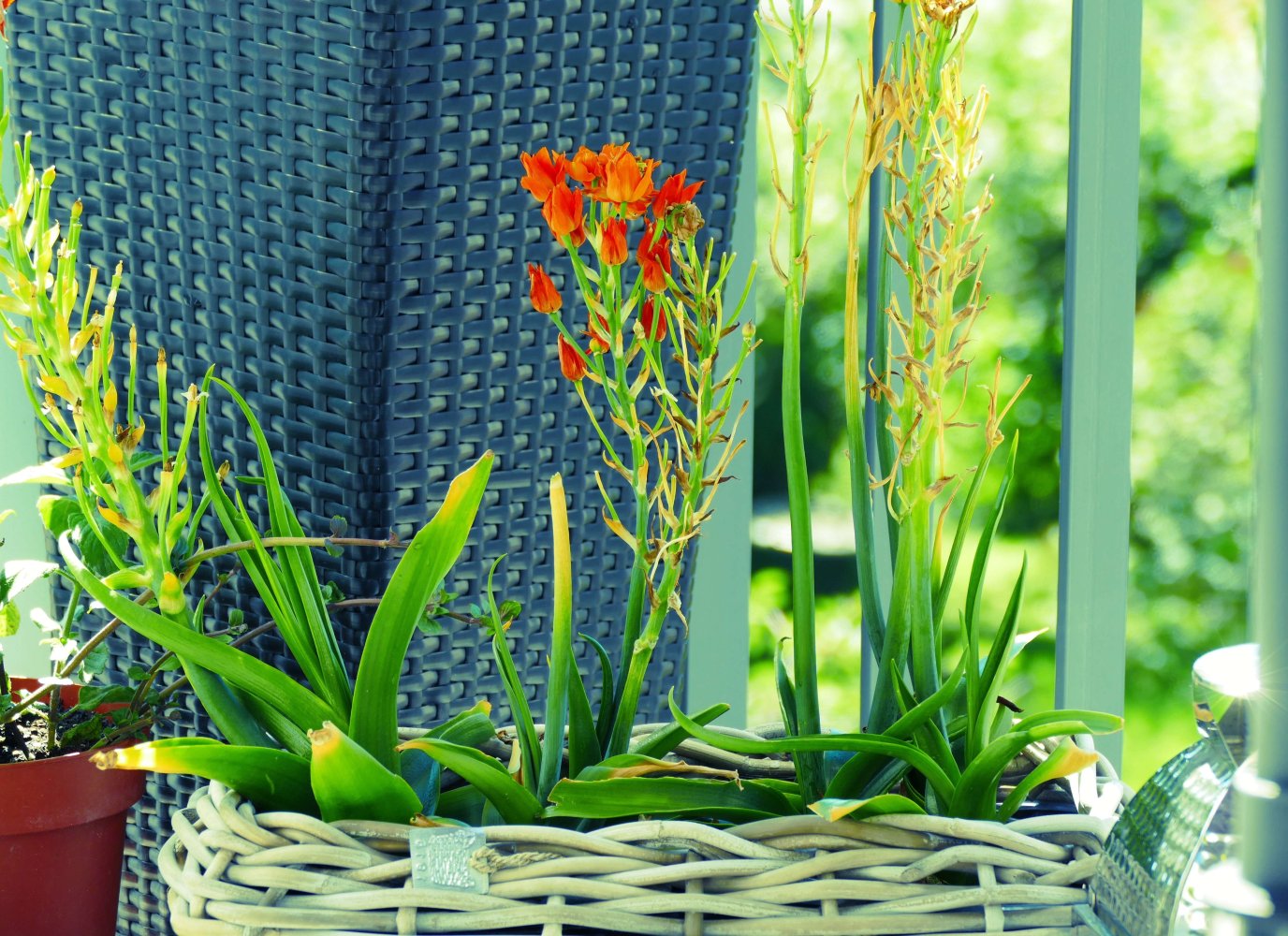 Apartamento T3 em Lower Saxony, Germany N.º 260903