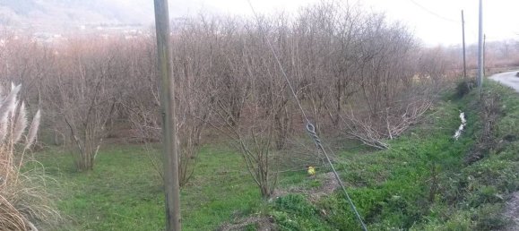 39000m² Land in Atripalda, Italy No. 64532 4