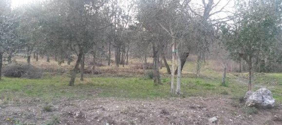 39000m² Land in Atripalda, Italy No. 64532 6
